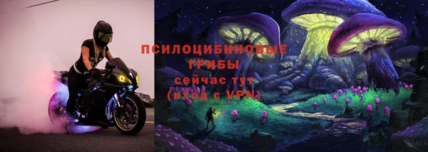 прущая мука Дмитровск