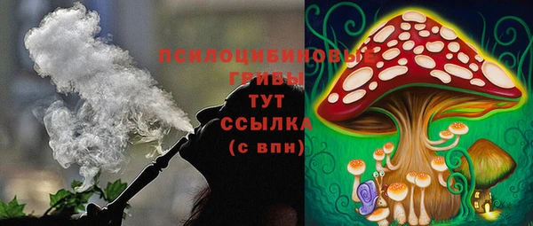 спиды Вязники