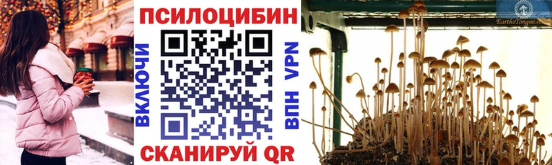 Псилоцибиновые грибы GOLDEN TEACHER  купить  сайты  Дальнереченск 